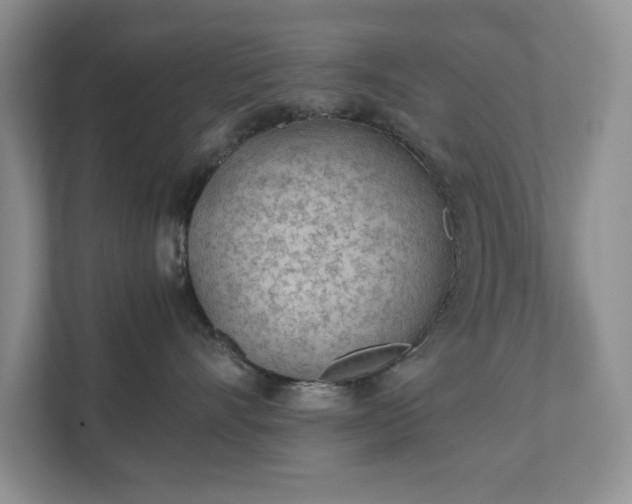 X0000111490528200907211012