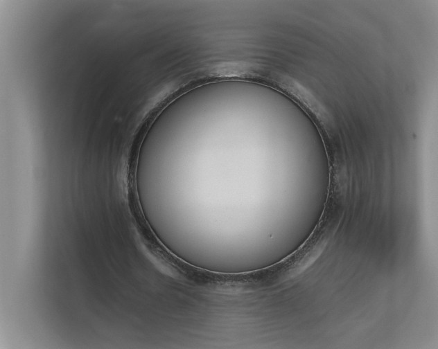 X0000111490530200907211011