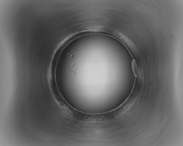 X0000111490532200907211011