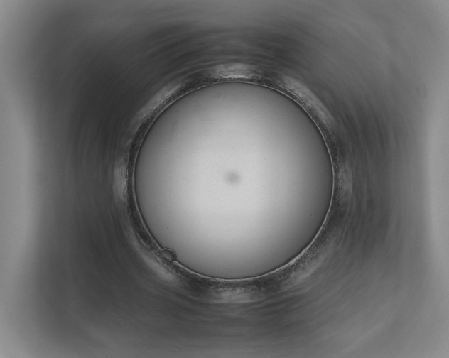 X0000111490533200907211011