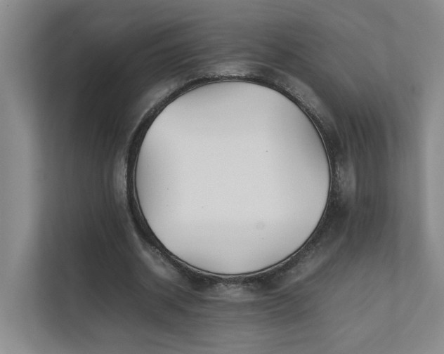 X0000111490534200907211011