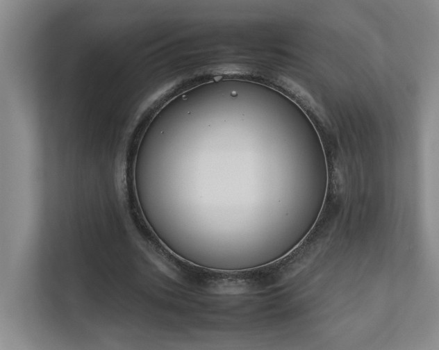 X0000111490535200907211011