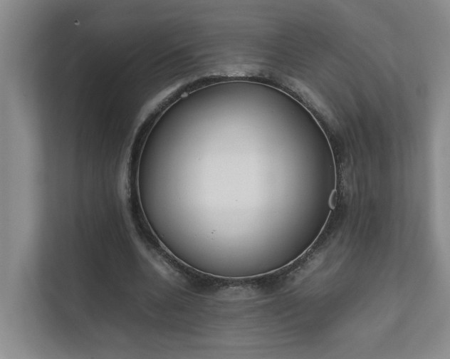 X0000111490536200907211011