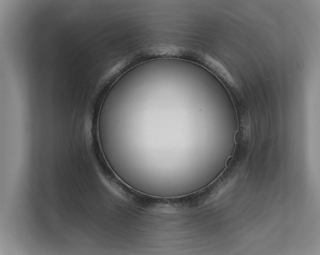 X0000111490538200907211011