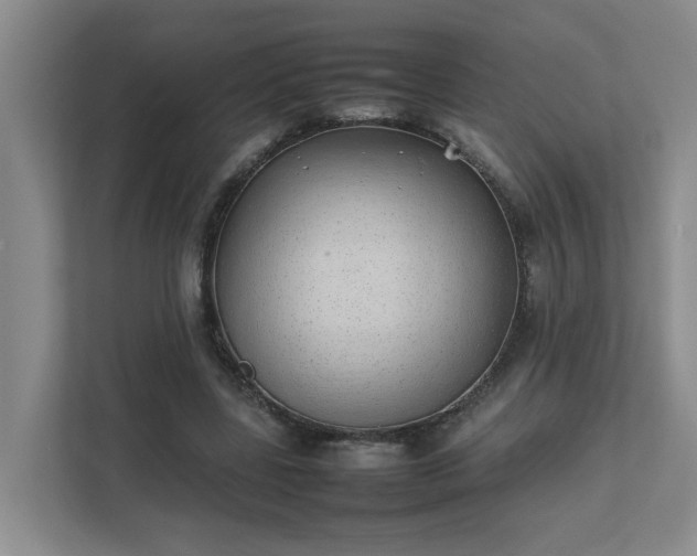 X0000111490539200907211011