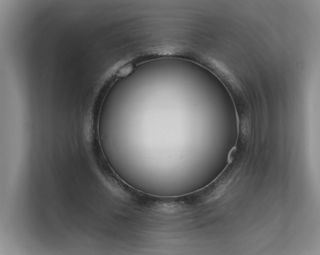 X0000111490540200907211011