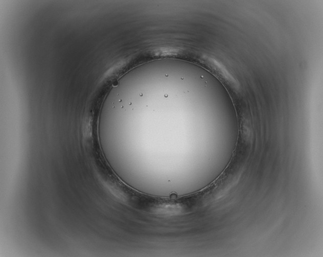 X0000111490543200907211011