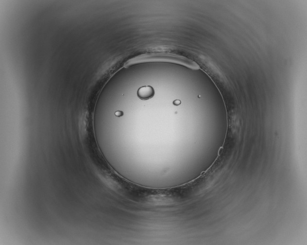 X0000111490544200907211011