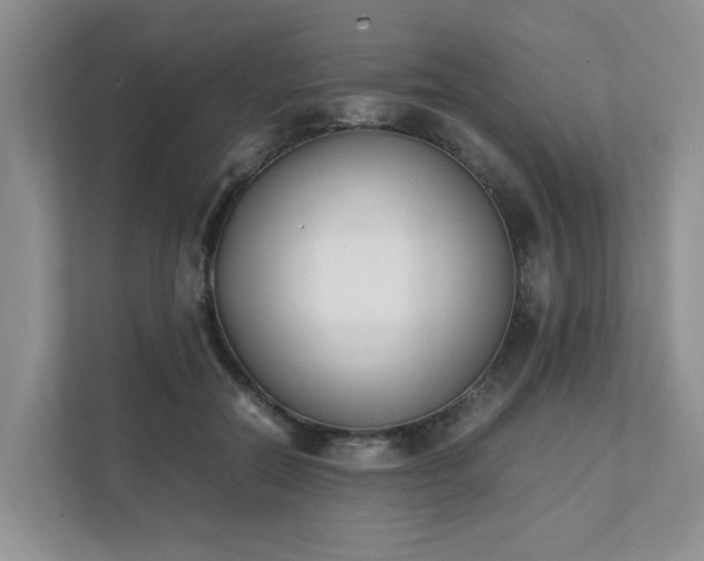 X0000111490554200907211012