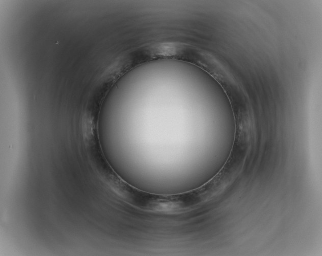 X0000111490555200907211012