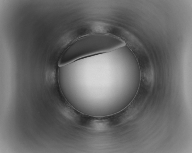 X0000111490556200907211012