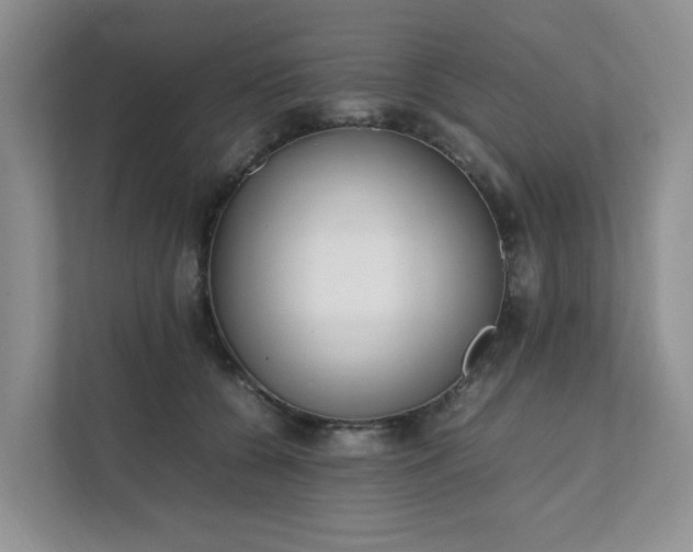 X0000111490560200907211012