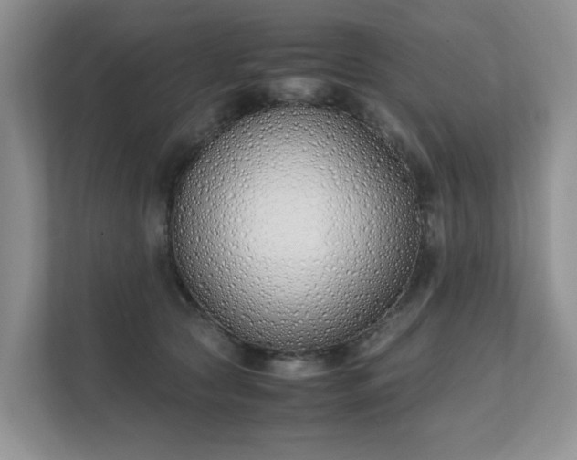 X0000111490561200907211012