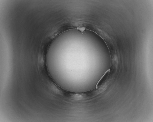 X0000111490566200907211012