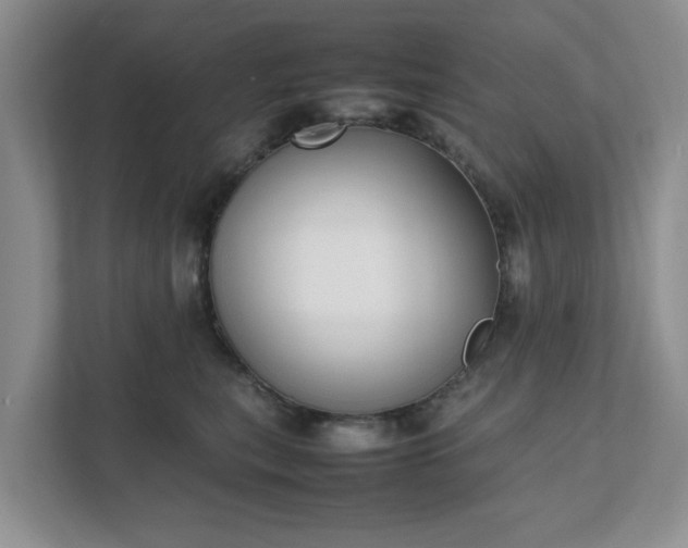 X0000111490567200907211012