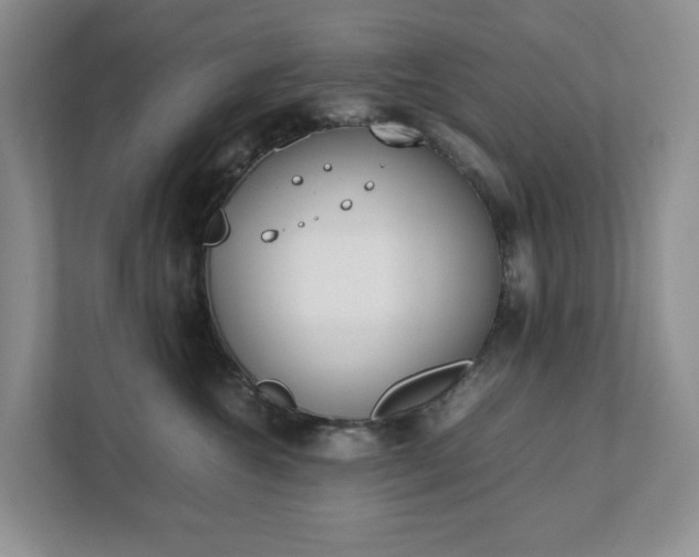 X0000111490572200907211012