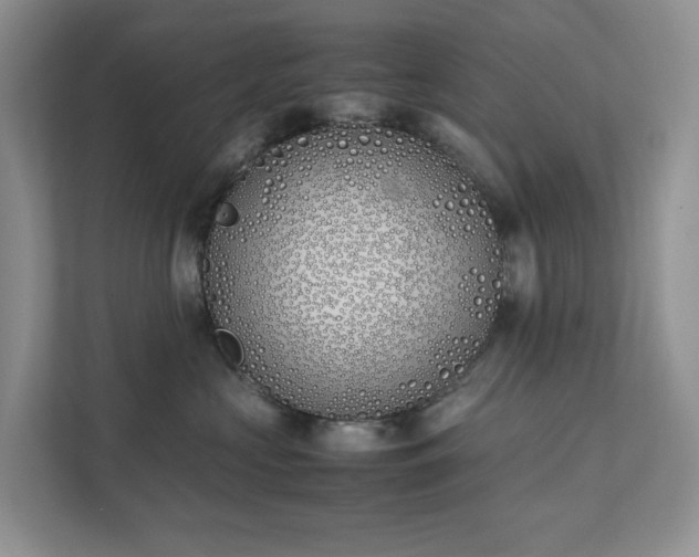 X0000111490573200907211012