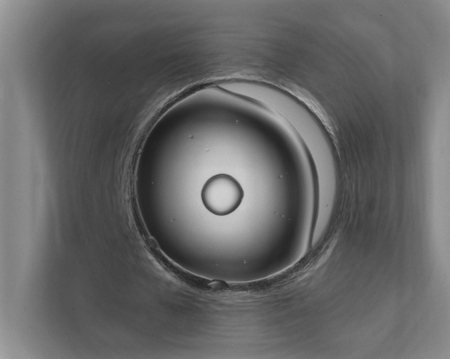 X0000111490577200907211011