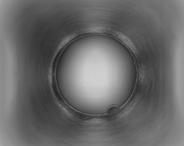 X0000111490578200907211011