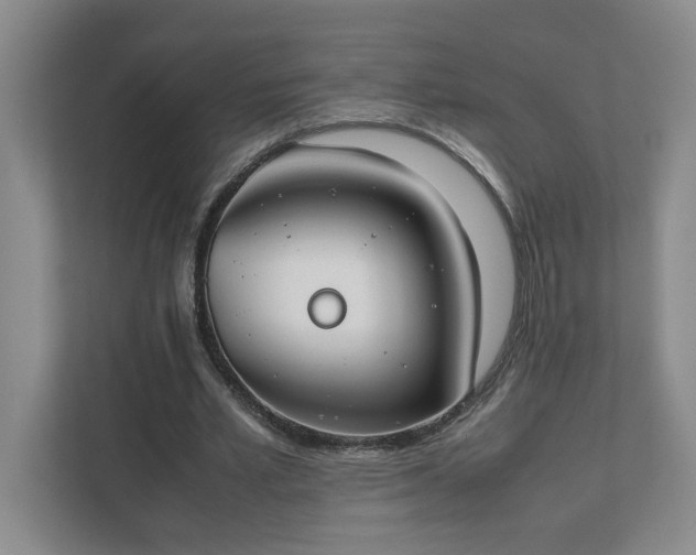 X0000111490581200907211011