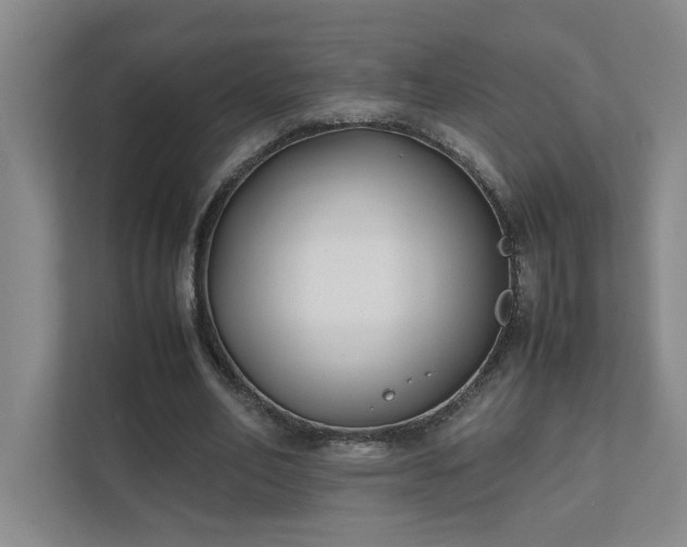 X0000111490582200907211011