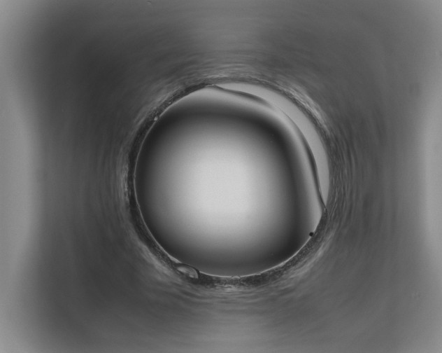 X0000111490585200907211011