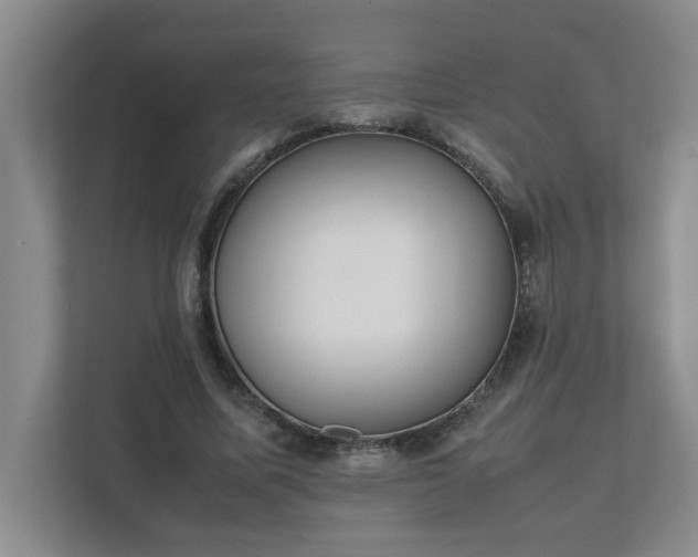 X0000111490587200907211011