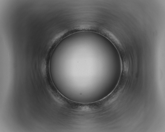 X0000111490588200907211011