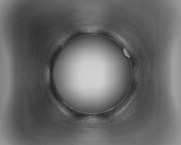 X0000111490589200907211011