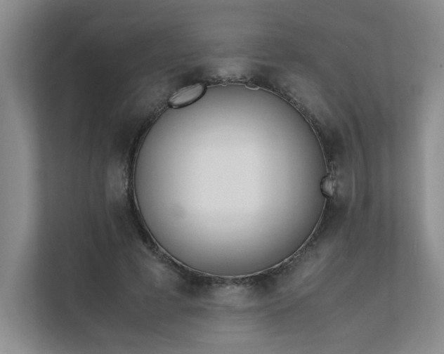 X0000111490593200907211011