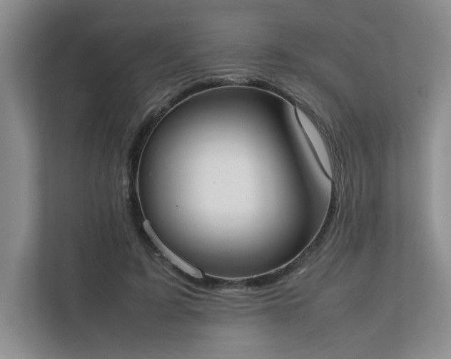 X0000111490595200907211011