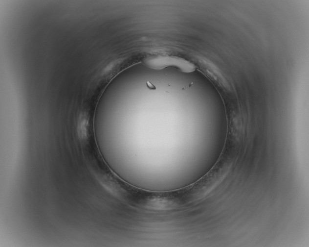 X0000111490596200907211011