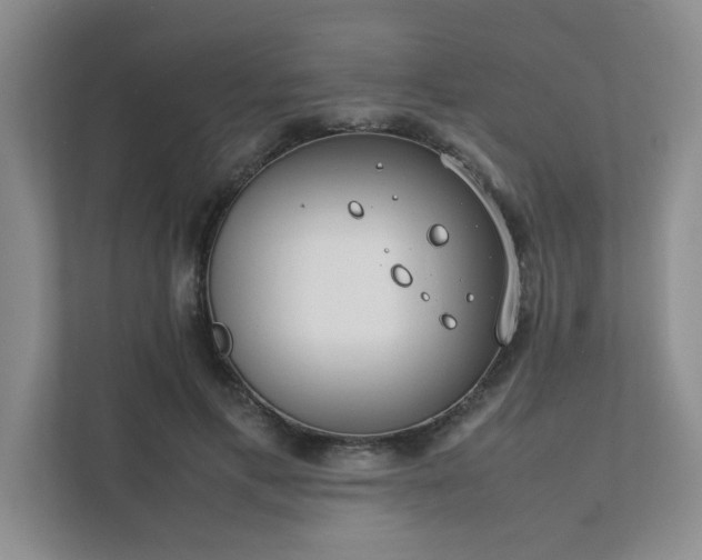 X0000111490597200907211011