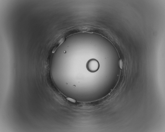 X0000111490601200907211011