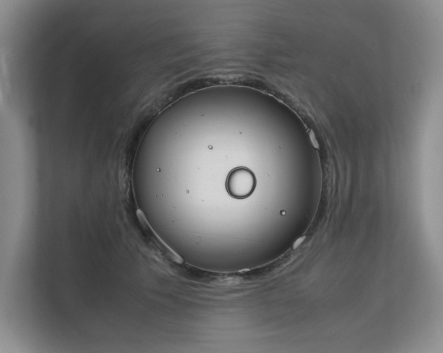 X0000111490609200907211011