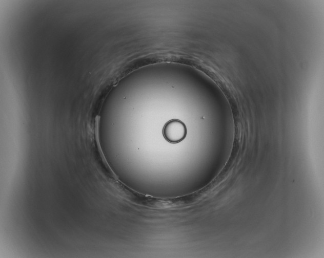 X0000111490613200907211011