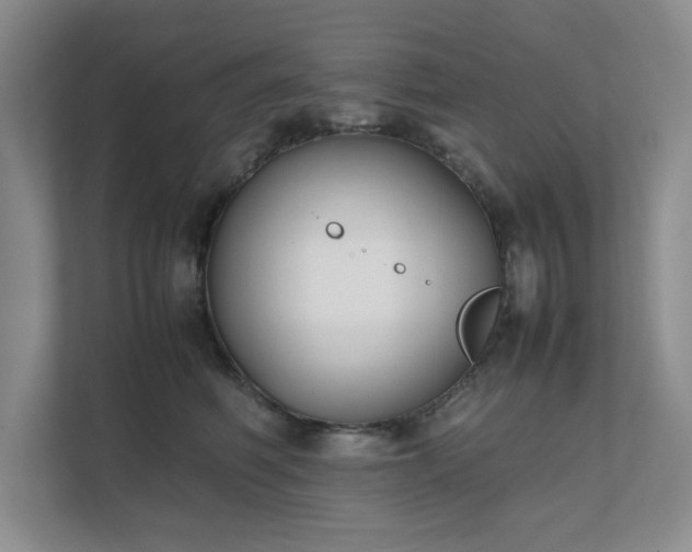 X0000111490614200907211011