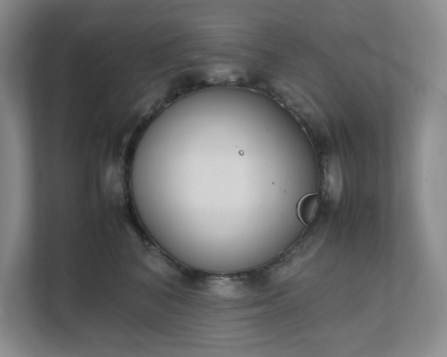 X0000111490616200907211011