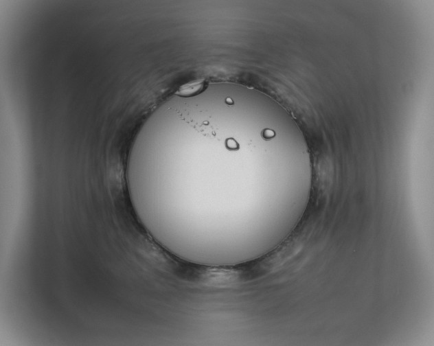 X0000111490617200907211011