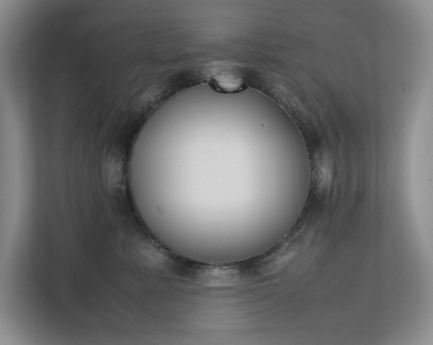 X0000111490619200907211011