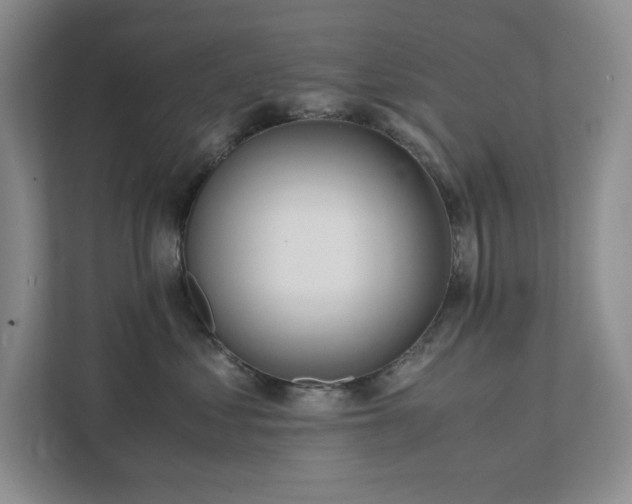 X0000111490621200907211011