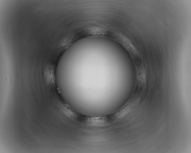 X0000111490622200907211011