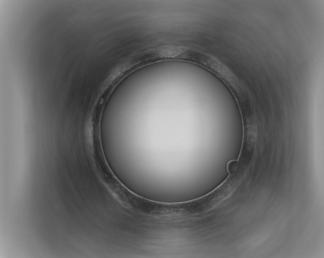 X0000111490626200907211010