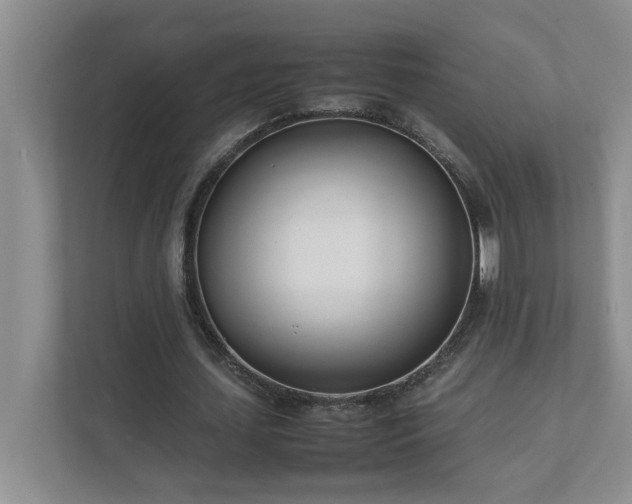 X0000111490627200907211010