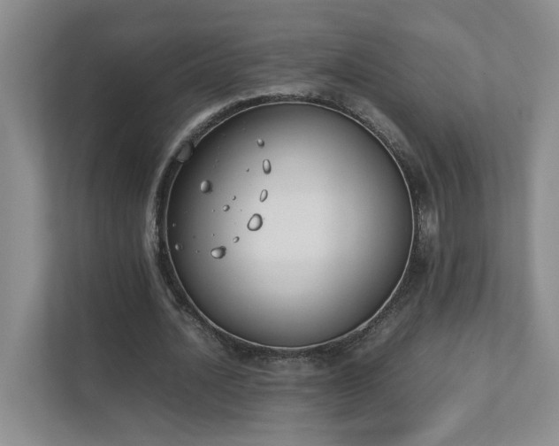 X0000111490628200907211010