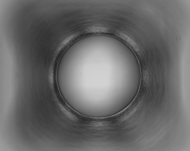 X0000111490629200907211010