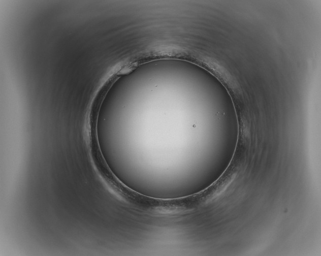 X0000111490630200907211010