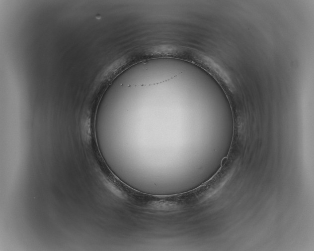 X0000111490633200907211010