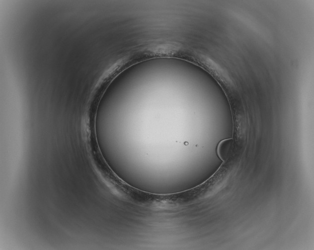 X0000111490634200907211010