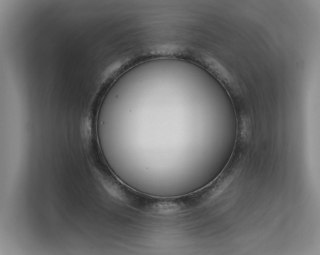 X0000111490636200907211010